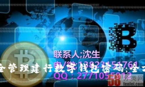 如何安全管理建行数字钱包密码：全方位指南