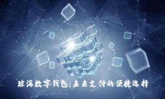 琼海数字钱包：未来支付