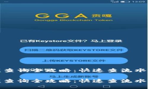 数字钱包余额查询全攻略：快速查流水与余额的方法

数字钱包余额查询全攻略：快速查流水与余额的方法
