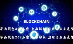 华为钱包201加密：全面解