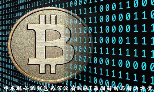 
中本聪小狐钱包为何没有到账？原因解析与解决方案