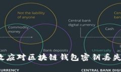 如何有效应对区块链钱包密钥丢失的危机？