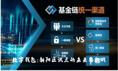 数字钱包：朝阳区试点的未来与挑战