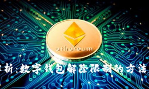 全面解析：数字钱包解除限制的方法与技巧