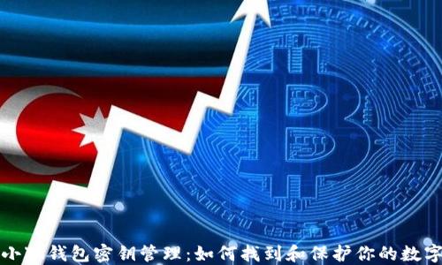 
揭秘小狐钱包密钥管理：如何找到和保护你的数字资产