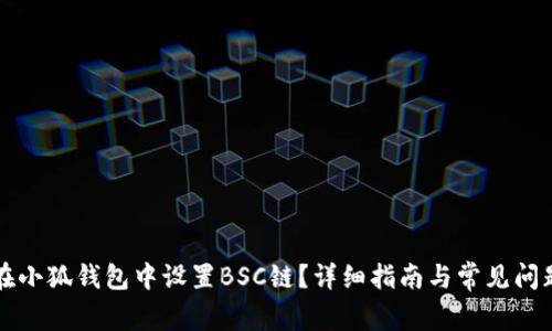 如何在小狐钱包中设置BSC链？详细指南与常见问题解析