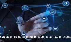 中国电子钱包与数字货币的未来：机遇与挑战