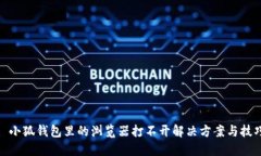 : 小狐钱包里的浏览器打不开解决方案与技巧