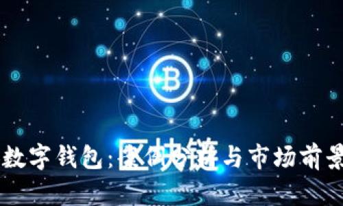 南安数字钱包：案例分析与市场前景展望