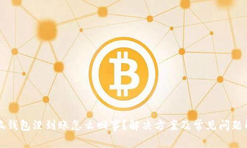 小狐钱包没到账怎么回事？解决方案及常见问题解析
