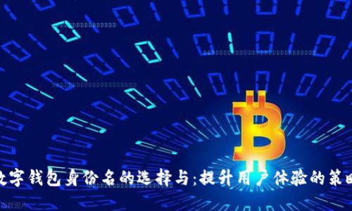 数字钱包身份名的选择与：提升用户体验的策略