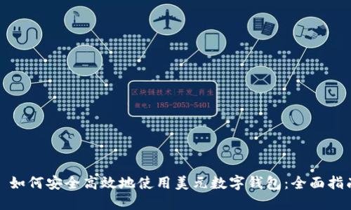 : 如何安全高效地使用美元数字钱包：全面指南