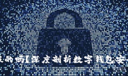 小狐钱包也有假的吗？深度剖析数字钱包安全性与防范技巧