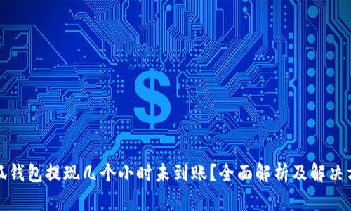 小狐钱包提现几个小时未到账？全面解析及解决方案