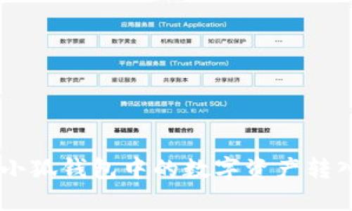 ziaoti如何将小狐钱包中的数字资产转入币安交易所？