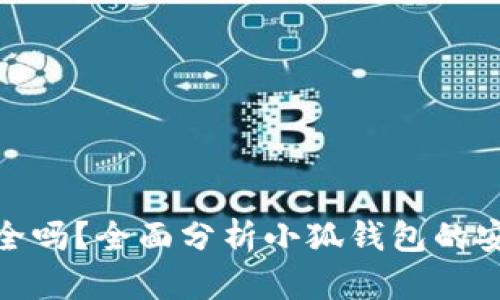 小狐钱包安全吗？全面分析小狐钱包的安全性与风险