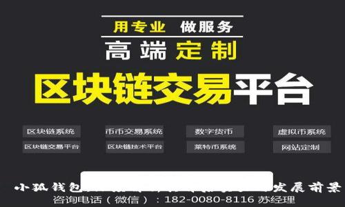  小狐钱包：深度解析其背后实力与发展前景