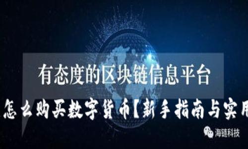 :钱包怎么购买数字货币？新手指南与实用技巧