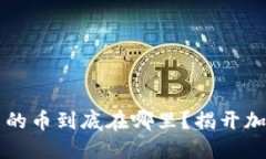 中本聪小狐钱包里的币到