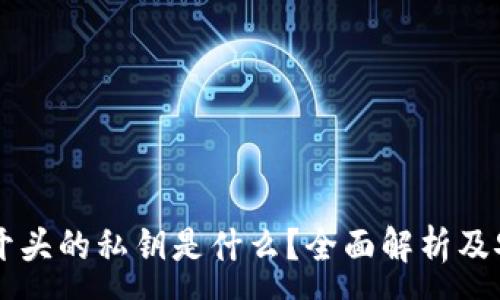 :
数字钱包0x开头的私钥是什么？全面解析及安全使用指南