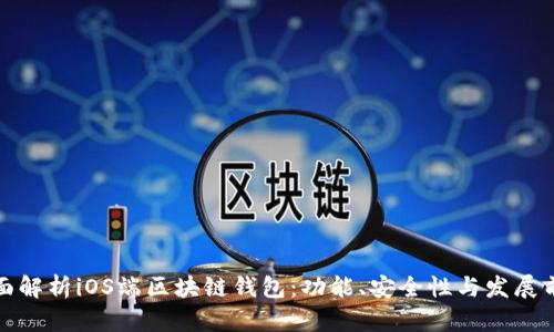 全面解析iOS端区块链钱包：功能、安全性与发展前景