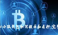 : 核心小狐钱包如何提币和