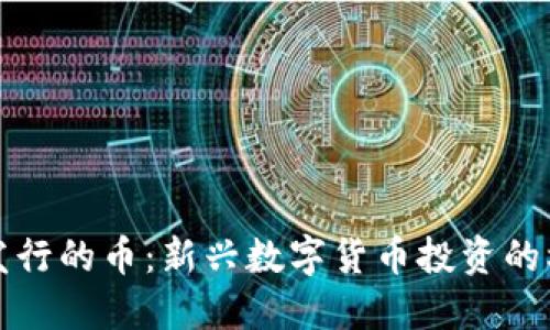 小狐钱包发行的币：新兴数字货币投资的机遇与挑战