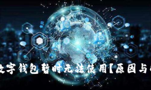 为什么邮政数字钱包暂时无法使用？原因与解决办法解析