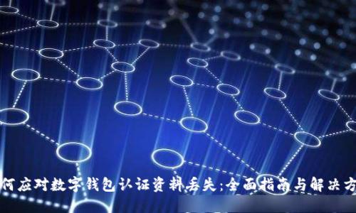 如何应对数字钱包认证资料丢失：全面指南与解决方案