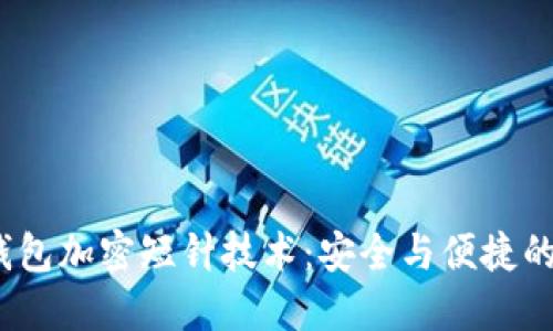  探索零钱包加密短针技术：安全与便捷的完美结合