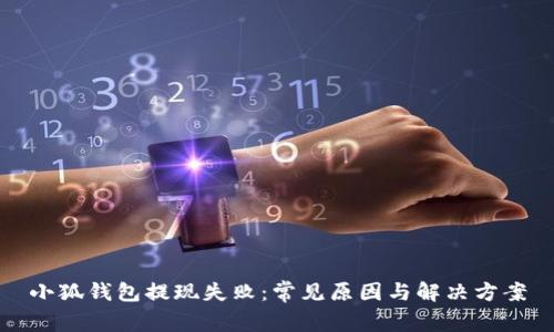 小狐钱包提现失败：常见原因与解决方案