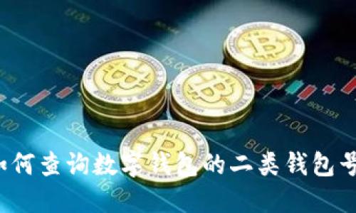 如何查询数字钱包的二类钱包号？