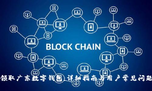 如何领取广东数字钱包：详细指南与用户常见问题解答