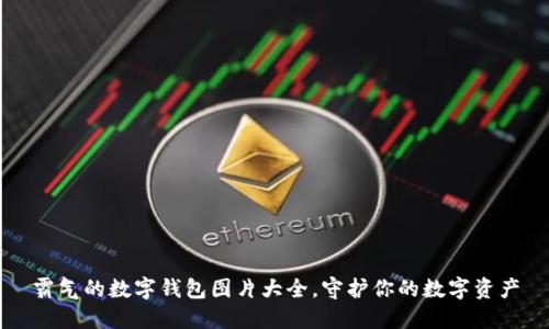 霸气的数字钱包图片大全，守护你的数字资产