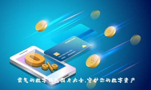 霸气的数字钱包图片大全，守护你的数字资产