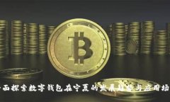 全面探索数字钱包在宁夏的发展趋势与应用场景