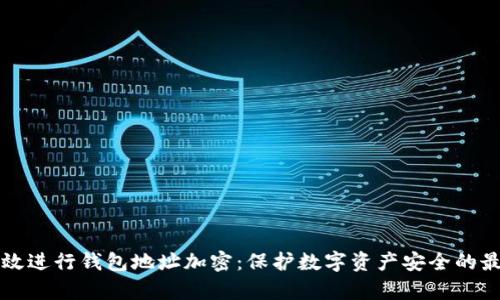 如何有效进行钱包地址加密：保护数字资产安全的最佳实践