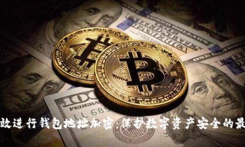 如何有效进行钱包地址加密：保护数字资产安全的最佳实践