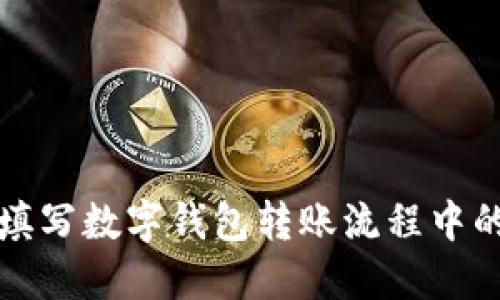 如何填写数字钱包转账流程中的金额