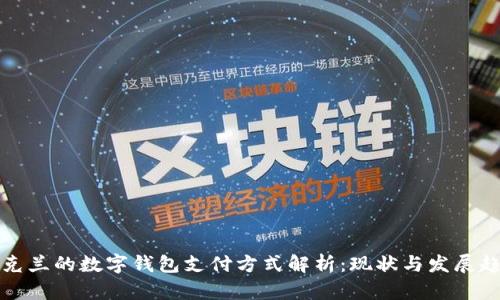 乌克兰的数字钱包支付方式解析：现状与发展趋势