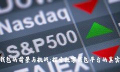数字钱包的前景与挑战：