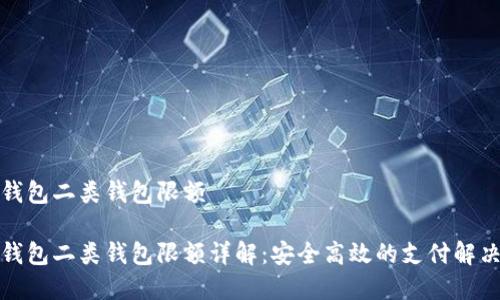 数字钱包二类钱包限额

数字钱包二类钱包限额详解：安全高效的支付解决方案