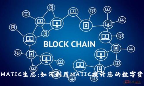 小狐钱包的MATIC生态：如何利用MATIC提升您的数字资产管理体验