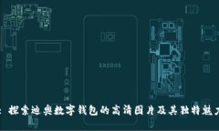 : 探索迪奥数字钱包的高清