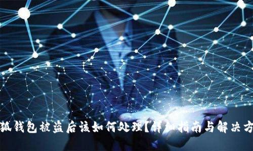 小狐钱包被盗后该如何处理？详细指南与解决方案