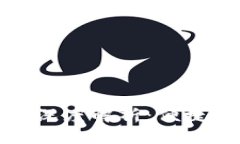 : 泉州的数字钱包应用深度