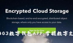 : Gopay003数字钱包APP：掌握