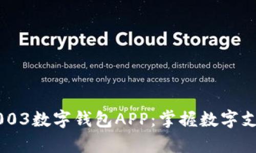 : Gopay003数字钱包APP：掌握数字支付的未来