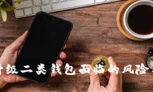 数字钱包升级二类钱包面临的风险与对策解析