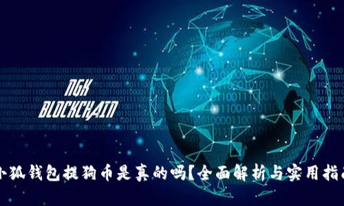 小狐钱包提狗币是真的吗？全面解析与实用指南